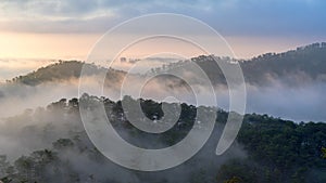 Fog over mountain and forest on sunrise at Da Lat, Vietnam