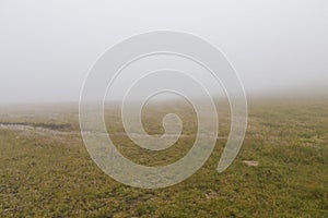 Fog over a mountain path 