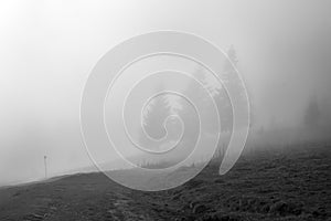 Fog over a mountain path in a forest 