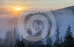 Fog over mountain range in sunrise light.