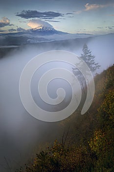Fog over Mt. Hood, Columbia River Gorge, Washington