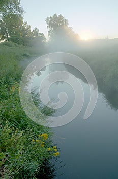 Fog Over Rice Creek