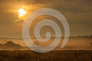 Fog over river banks at orange sunrise. River landscape in sunny summer morning