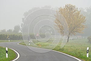 Fog over the road