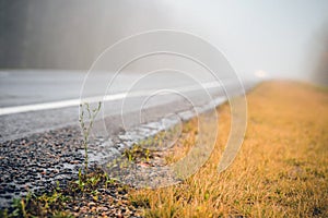 Fog over the road. Dangers of movement. Safety on the road.