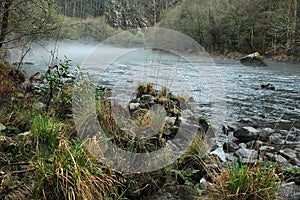 Fog over a silvered river