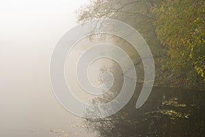 Fog over Vorskla river at autumnal morning