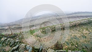 fog over wet terraced fieilds on hill slope