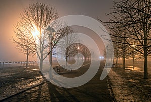 Fog in park at night by the light of street lamps