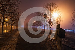 Fog in park at night by the light of street lamps