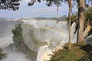 Fog and rainbow above the waterfall - Iguazu Falls in Argentina