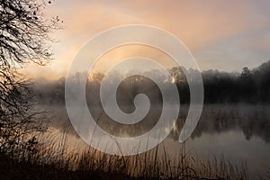 Fog rises on the surface of the water at dawn in winter framed by trees and grasses on Lake Lanier in Georgia photo