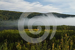 Fog rising up the tree covered valley as fall colors emerge, near Liard Hot Springs, BC