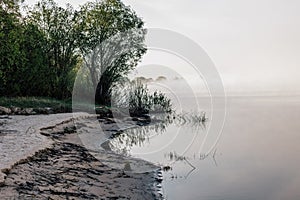 Fog on the river bank