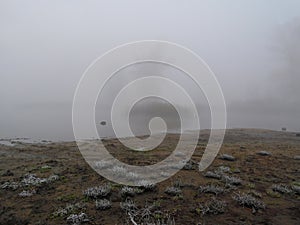 Fog on the river