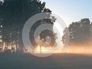 Fog on the river Yaman photo