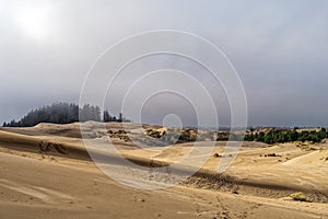 Fog rolling into the sand dunes on the Pacific Coast near Lakeside, Oregon, USA