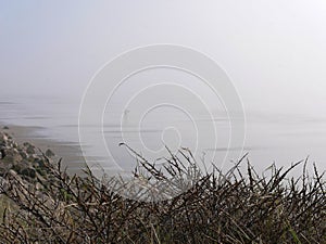 Fog on the sandy beach on the edge of La Manche at Sainte CÃ©cile Plage in Picardie photo