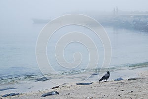 Fog and sea