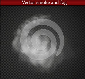 Fog or smoke isolated transparent special effect. White cloudiness, mist or smog background. Vector illustration.