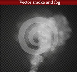 Fog or smoke isolated transparent special effect. White cloudiness, mist or smog background. Vector illustration.