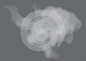 Fog or smoke isolated transparent special effect. White vector cloudiness, mist or smog background. Vector illustration