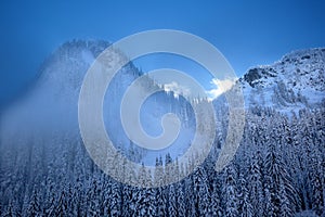 Fog Snow Covered Mountain Evergreens Snoqualme Pass Washington