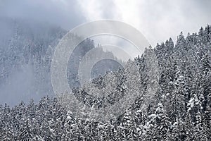 Fog and snow covering mountains