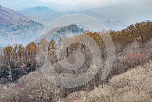 Fog and spring foliage, Great Smoky Mountains National Park, North Carolina