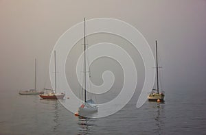 Fog on Sydney Harbour