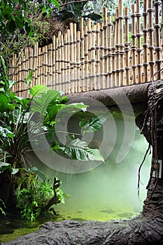 Fog Under a Bamboo Bridge