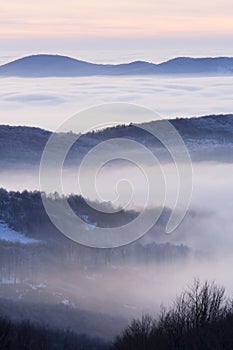 Niebla en el valle 