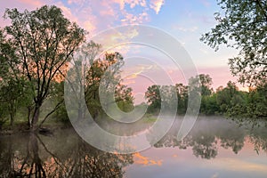 Fog and warm sky over the Narew river, Poland.