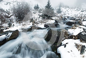 Fog and winter creek