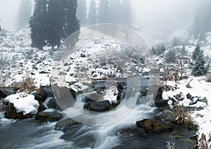 Fog and winter creek