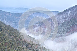 Fog in winter Harz mountains