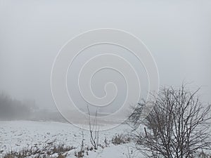 Fog in the winter. Winter landskape