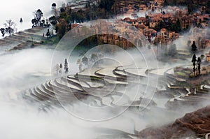 Fog in Yuanyang