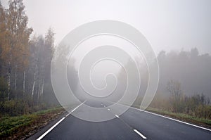 Fogbound road through the autumn forest.