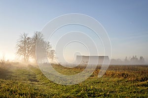 Fogbound sunrise at rural home.
