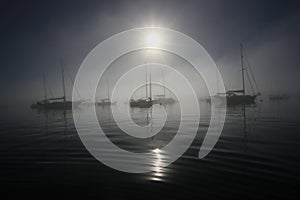 Fogbow over sailboats off Key Biscayne, Florida.