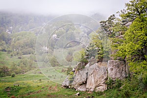 Fogginess on a field in mountains