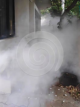 Fogging for pest control during the monsoon