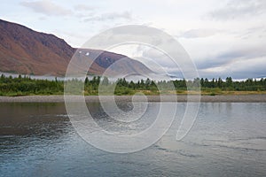 Foggy August morning on the river Sob. Polar Ural, Russia