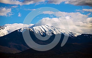 Foggy Autumn Coniferous Forest Landscape aerial view background