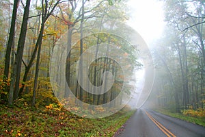 Foggy autumn drive