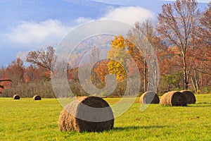 Foggy Autumn Hayfield