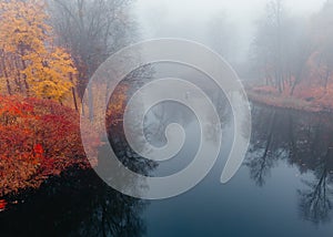 Foggy autumn landscape.