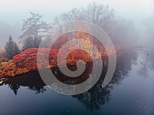 Foggy autumn landscape.