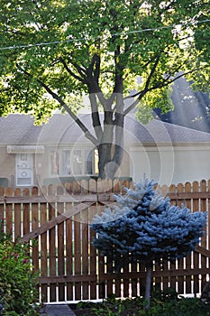 Autumn morning in Mount Prospect IL, USA. Residential district.